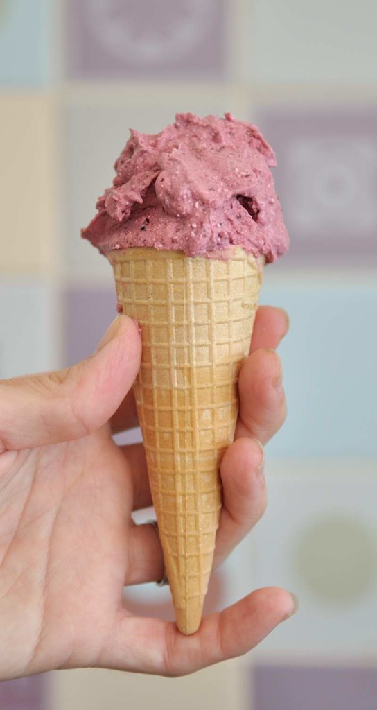 Blackberry vegan ice cream