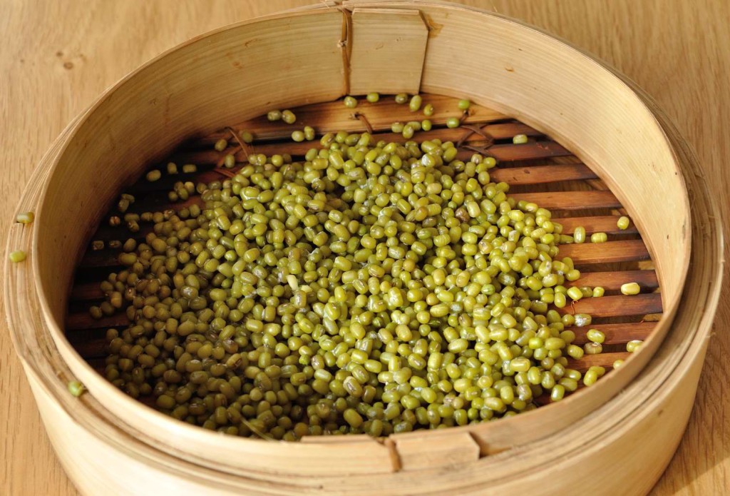 Steamed Mung Beans Salad