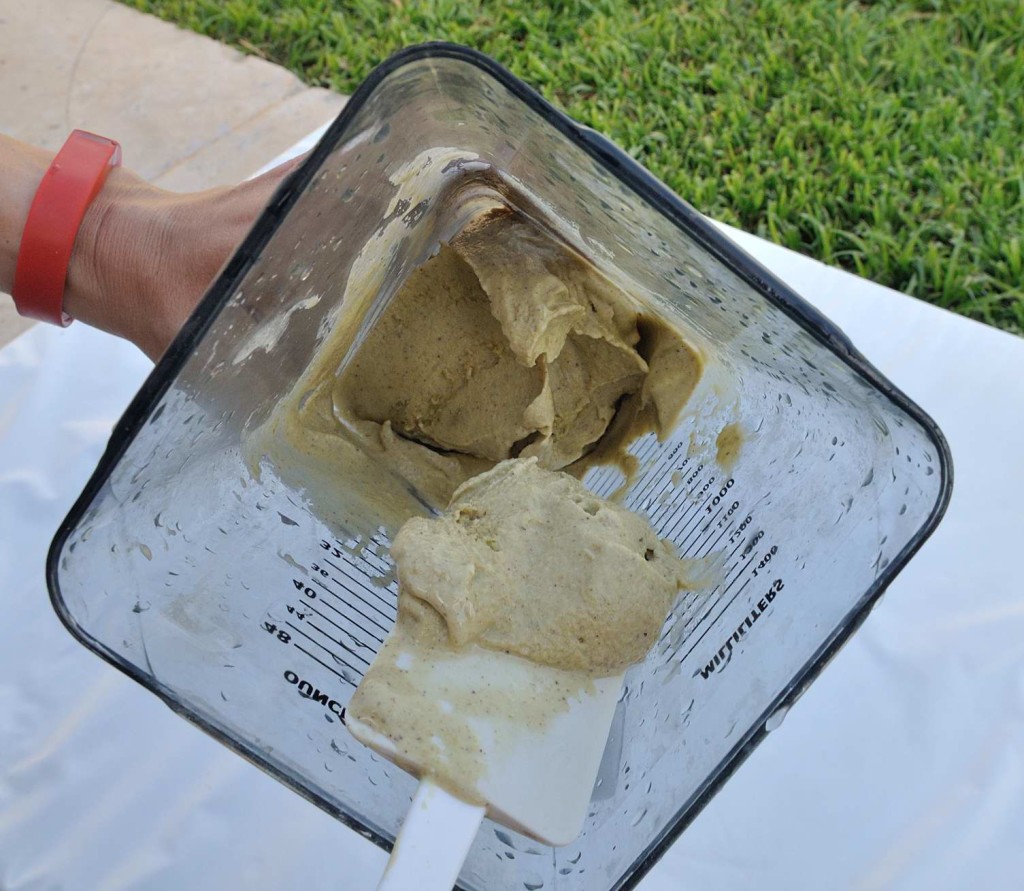 Vegan Ice Cream