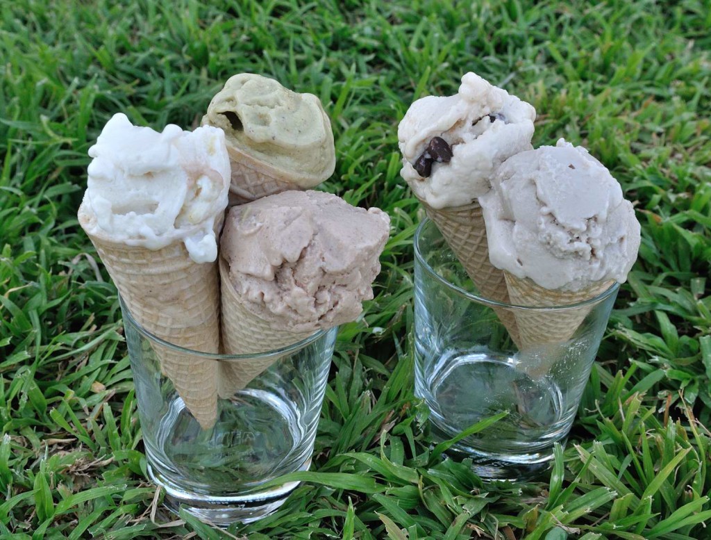 Vegan Ice Cream