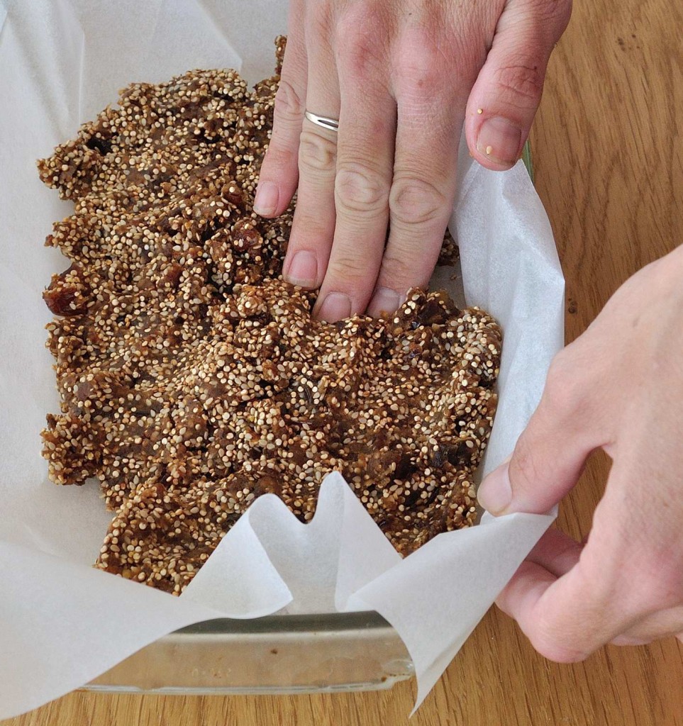 Dates and puffed quinoa larabars