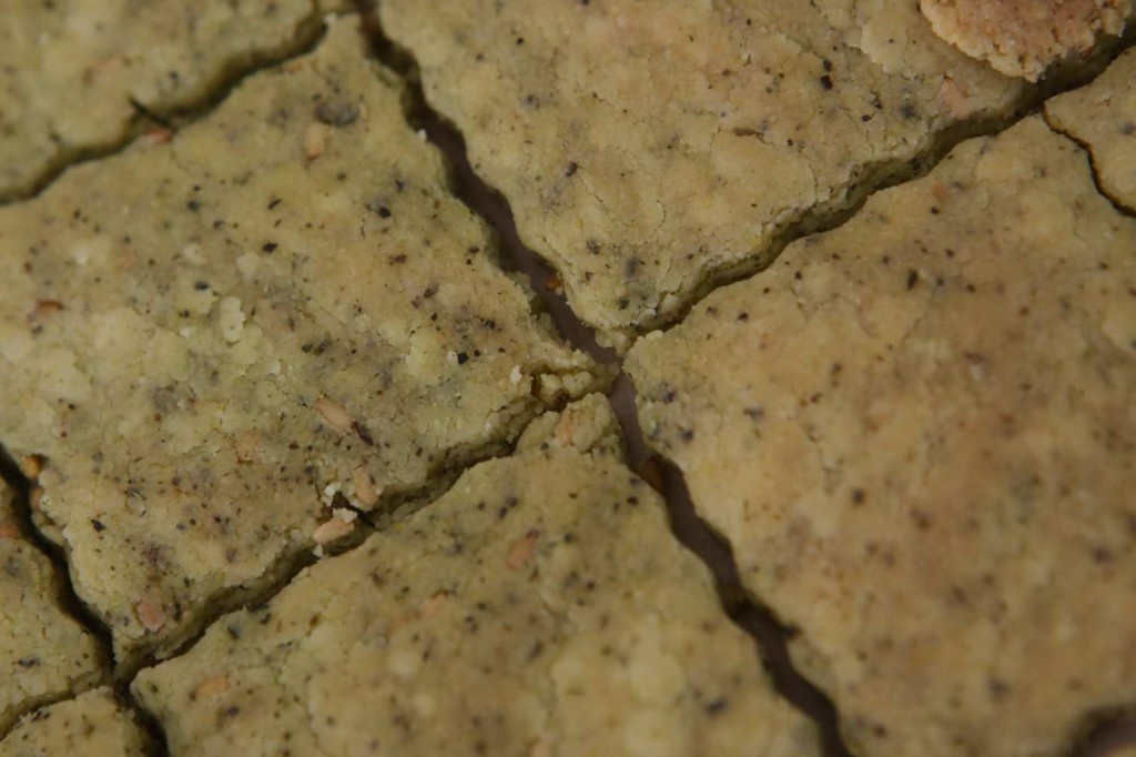 Za'atar Flavored Crackers