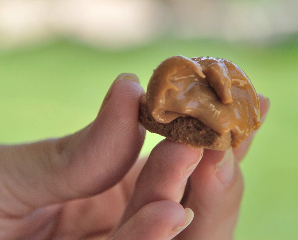 Vegan Cut-Out Cookies