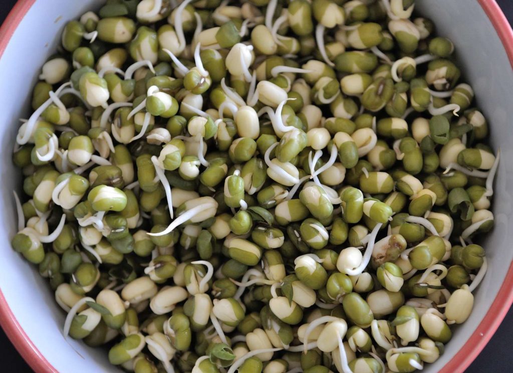 How to sprout (grains, beans, and legumes)?