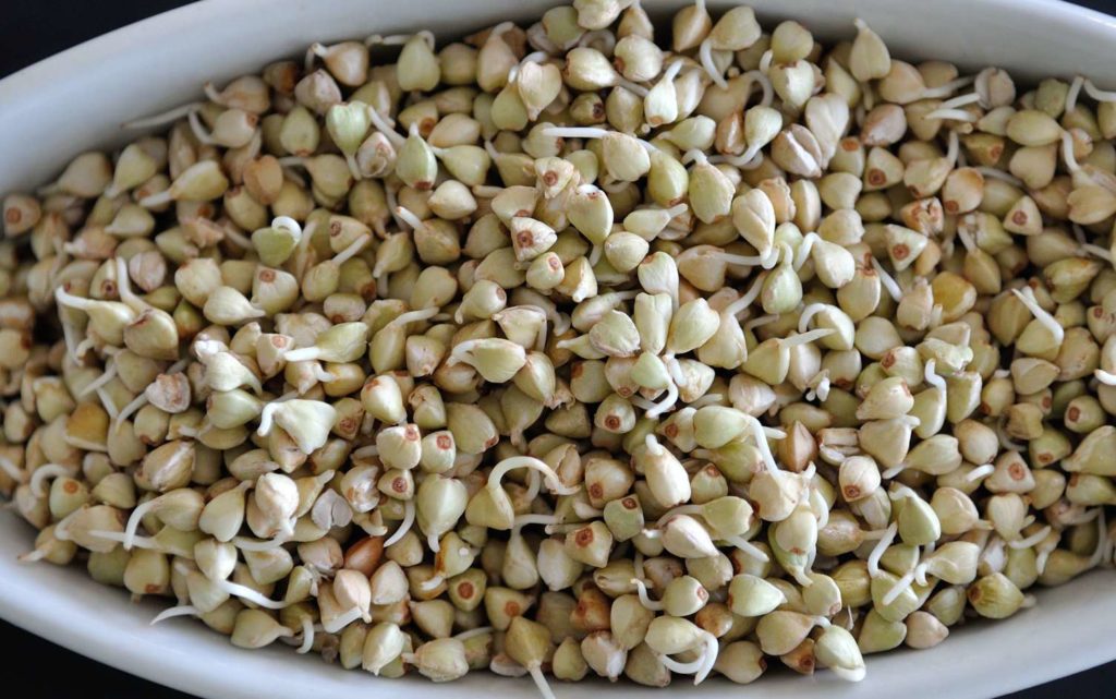 How to sprout (grains, beans, and legumes)?