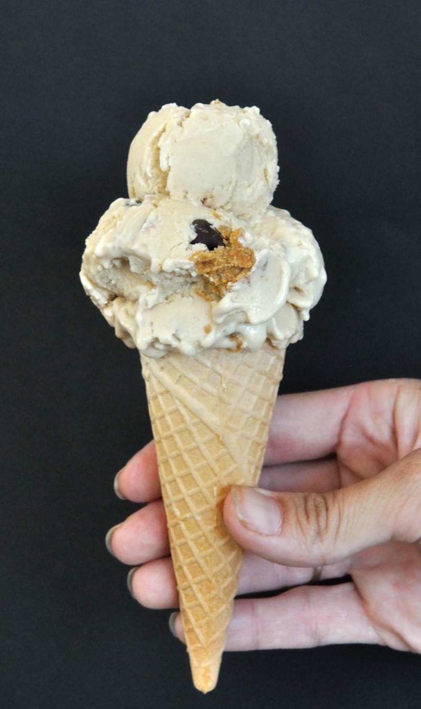 Peanut Butter Cookie Dough Ice Cream (Vegan + GF)