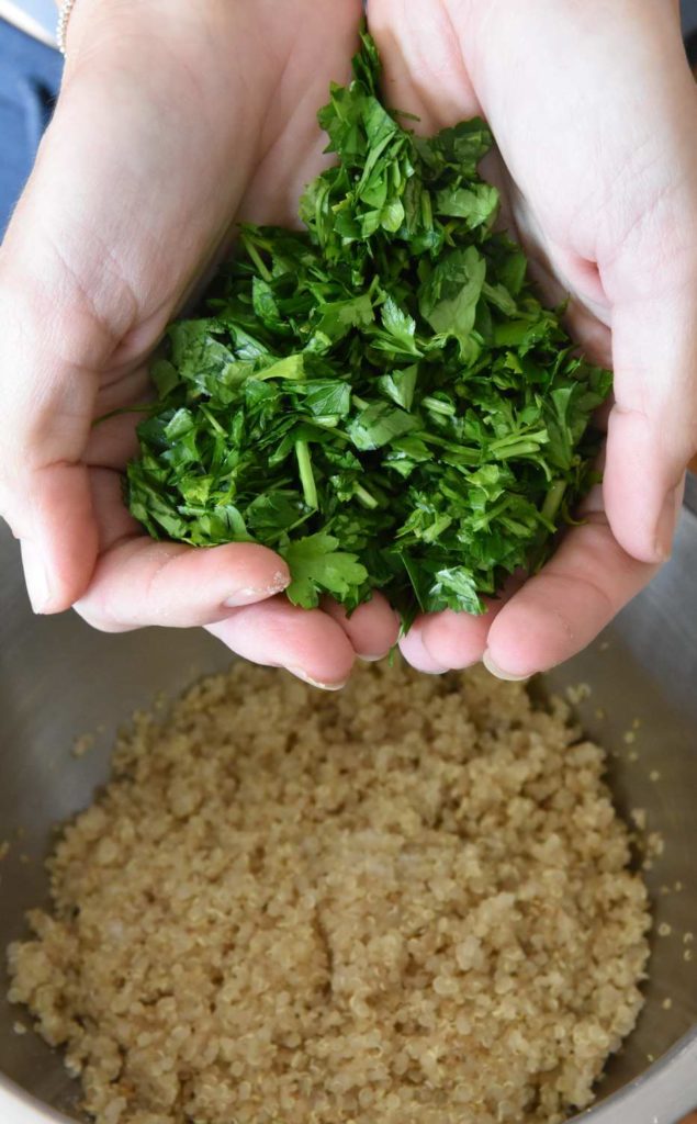 Quinoa Patties