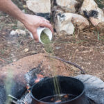 פוייקה טבעוני