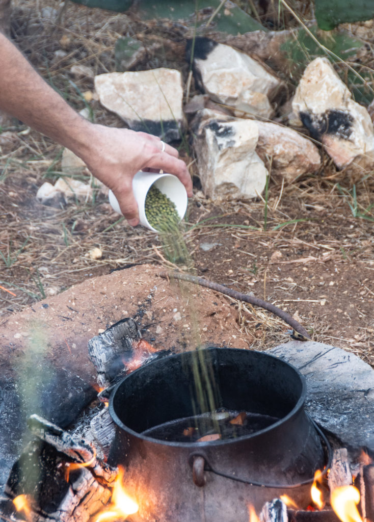 פוייקה טבעוני